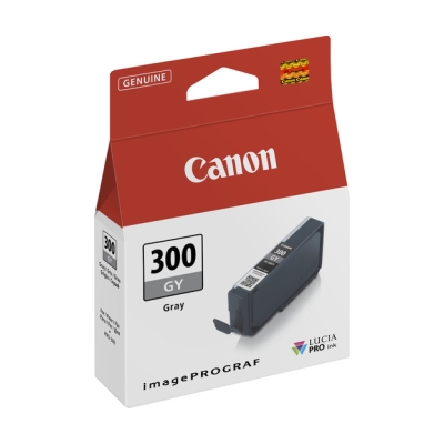Canon PFI-300 GY EUR/OCN 4200C001